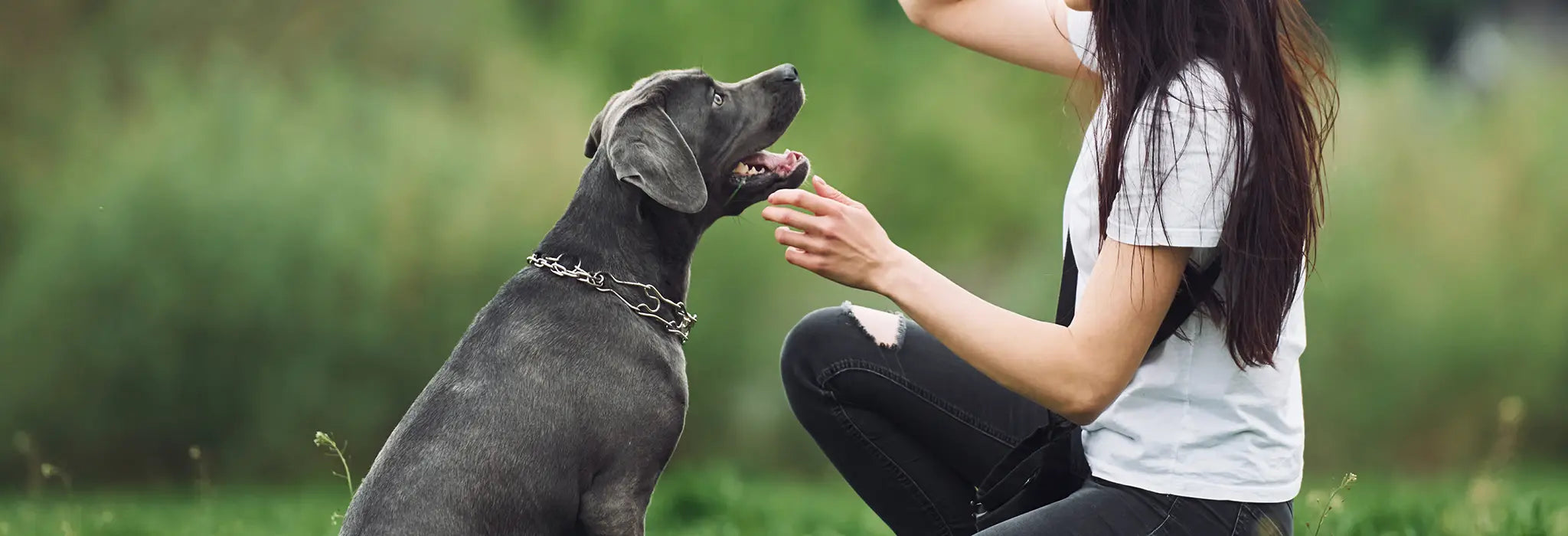 Woman feeding a dog outdoors with a blurred green background