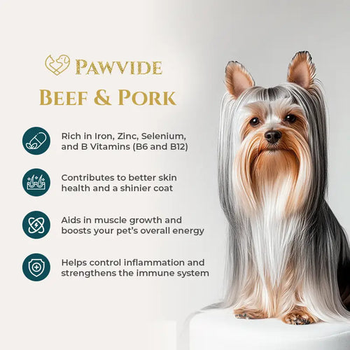 Dog with text about Pawvide Beef & Pork product benefits on a light gray background