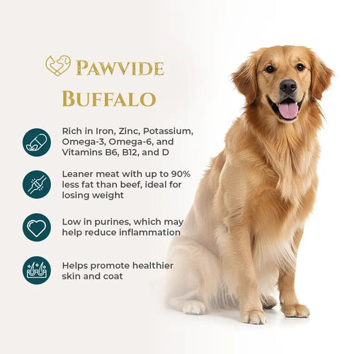 Dog sitting next to information about Pawvide Buffalo pet food on a white background