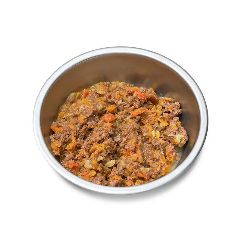 Stainless steel bowl filled with pet food on a white background