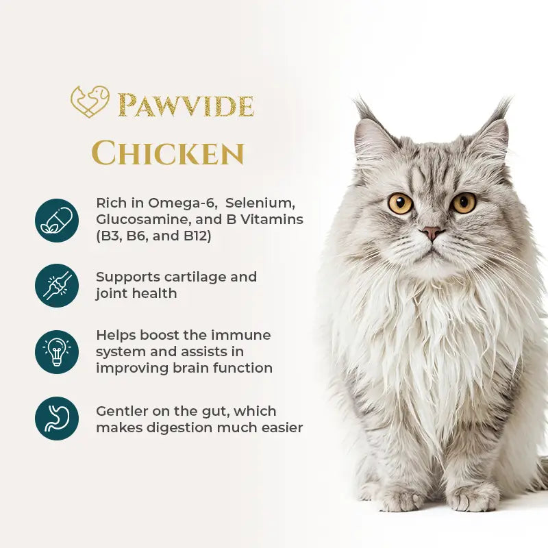 Cat with Pawvide chicken product information on a white background