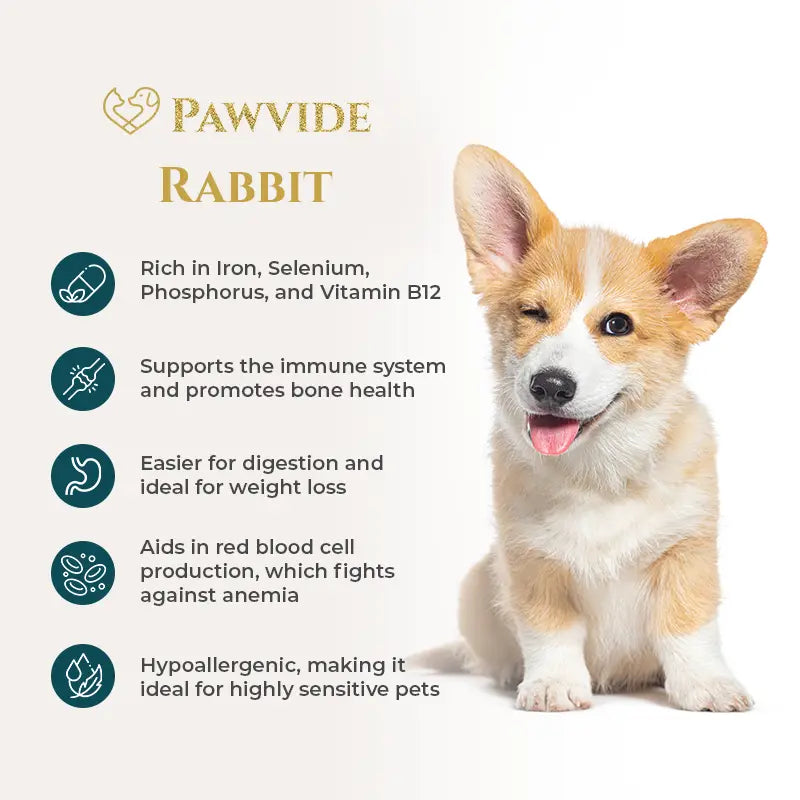Pawvide Rabbit product information with a corgi dog on a white background