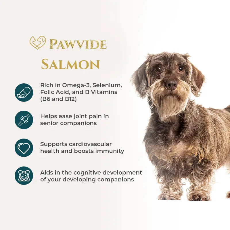 Dog with Pawvibe Salmon product information on a white background