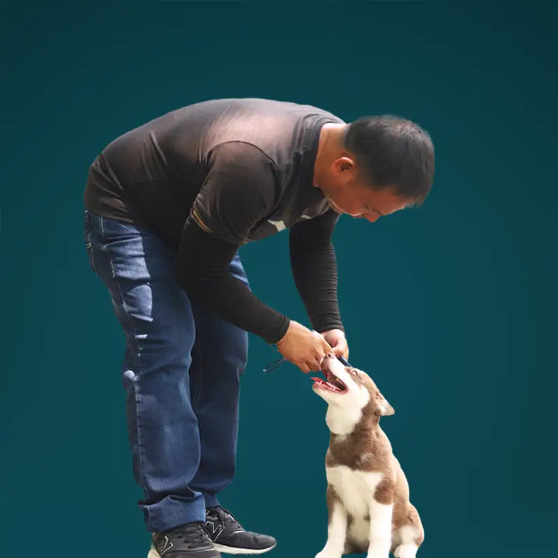 Man interacting with a dog on a solid background